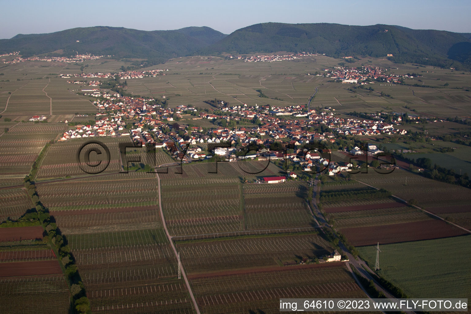 Bird's eye view of Edenkoben in the state Rhineland-Palatinate, Germany