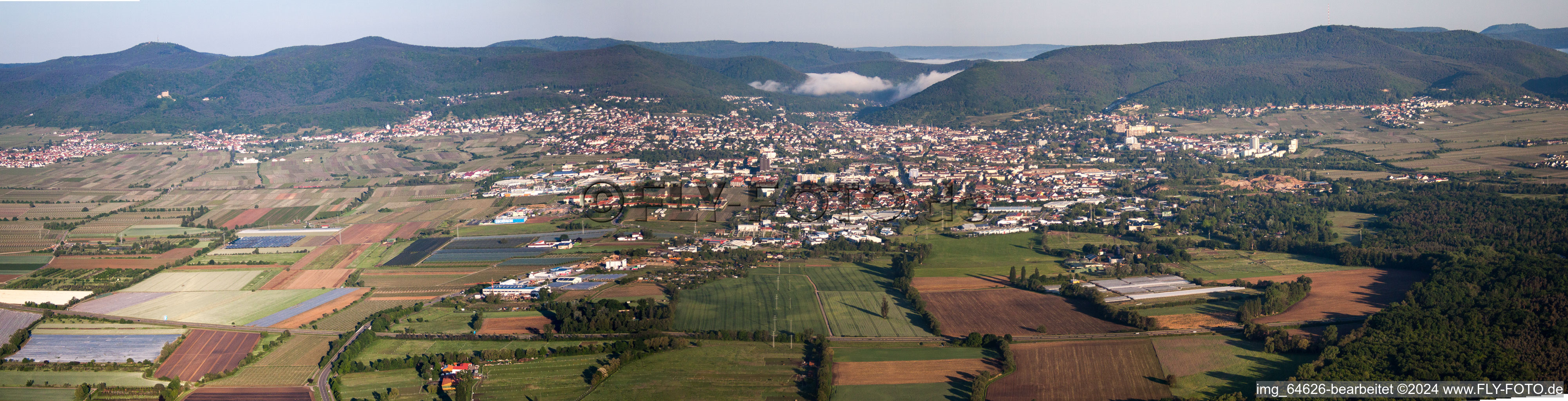 Aerial view of Morning Panorama from the local area and environment in Neustadt an der Weinstrasse in the state Rhineland-Palatinate