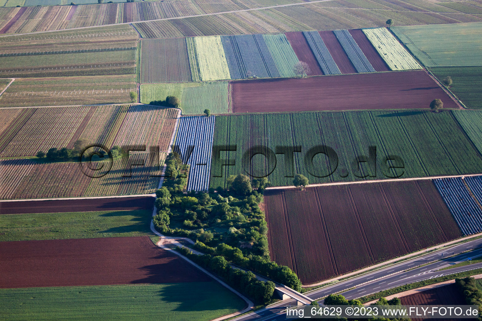 District Mußbach in Neustadt an der Weinstraße in the state Rhineland-Palatinate, Germany from the drone perspective