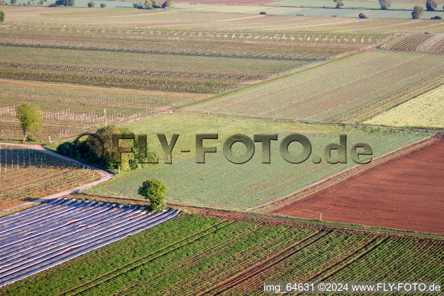 Launch site of the paramotor friends Palatinate in Meckenheim in the state Rhineland-Palatinate, Germany