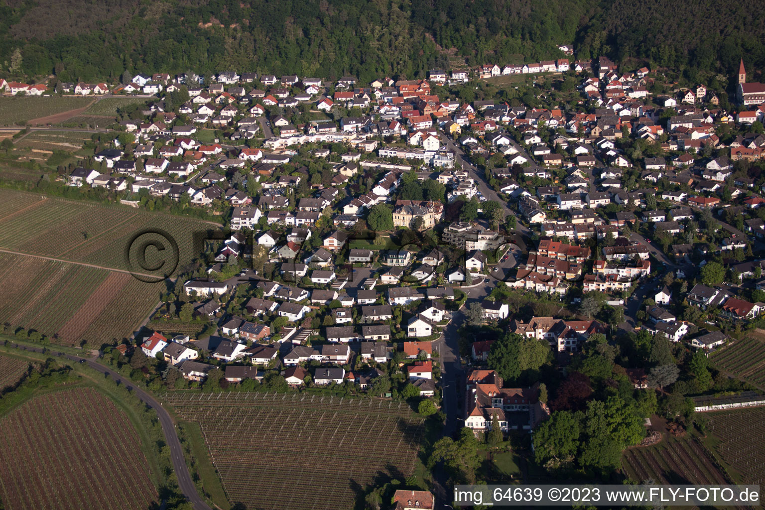 Bird's eye view of District Königsbach in Neustadt an der Weinstraße in the state Rhineland-Palatinate, Germany