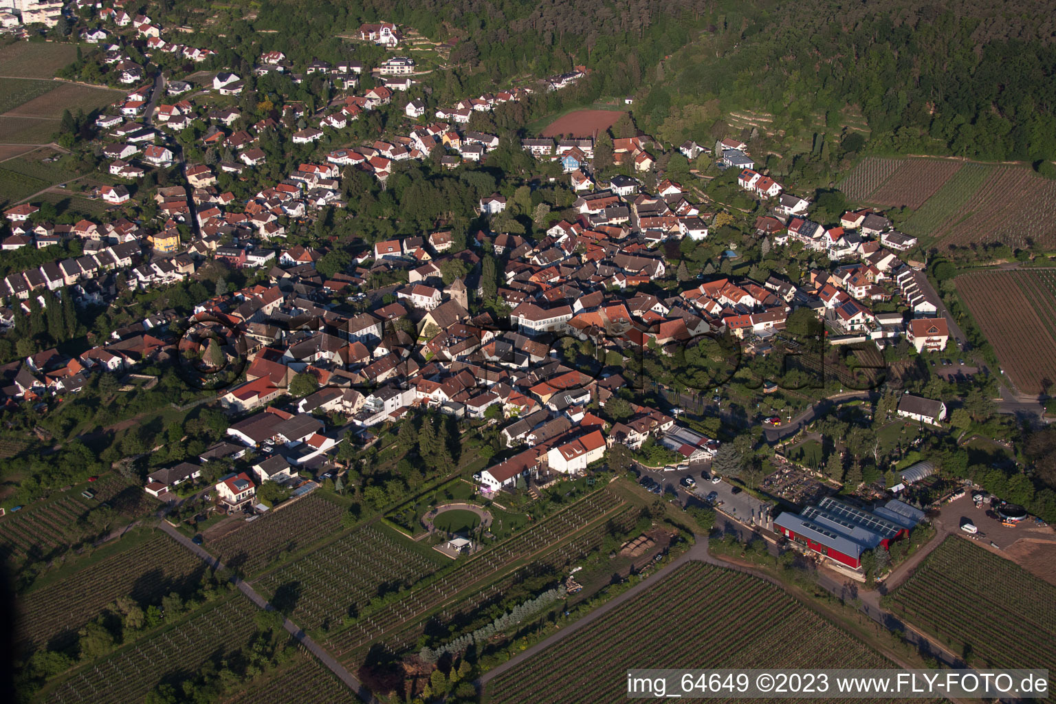 District Gimmeldingen in Neustadt an der Weinstraße in the state Rhineland-Palatinate, Germany out of the air