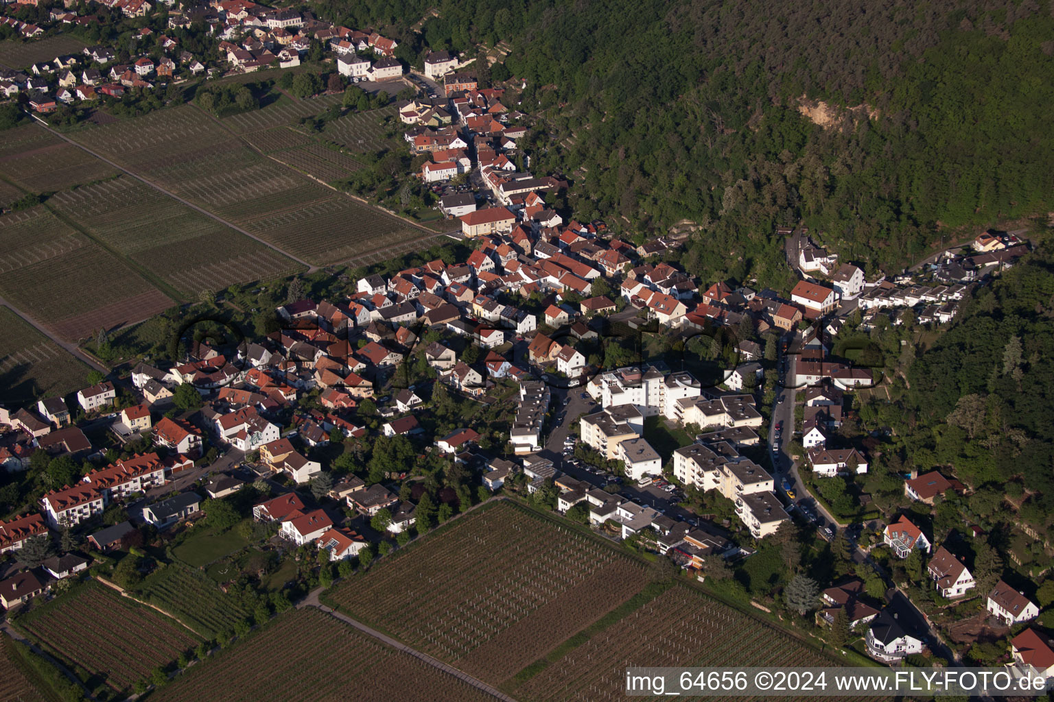 Village view in the district Haardt in Neustadt an der Weinstraße in the state Rhineland-Palatinate, Germany