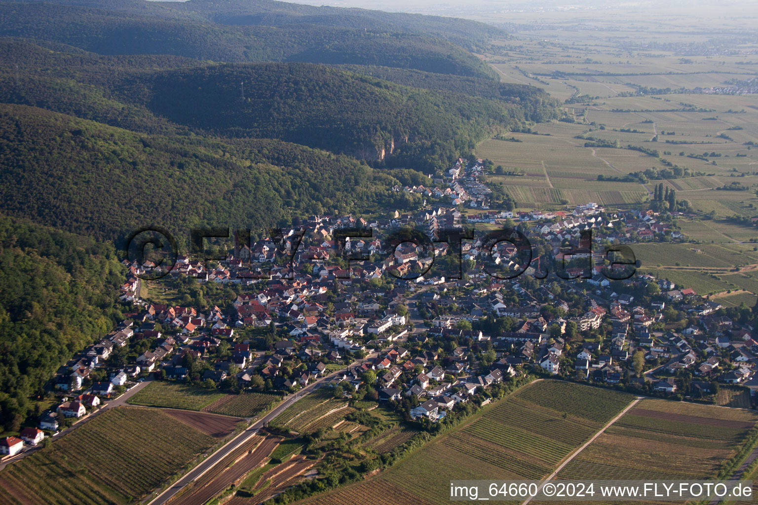 Aerial view of Village view in the district Haardt in Neustadt an der Weinstraße in the state Rhineland-Palatinate, Germany