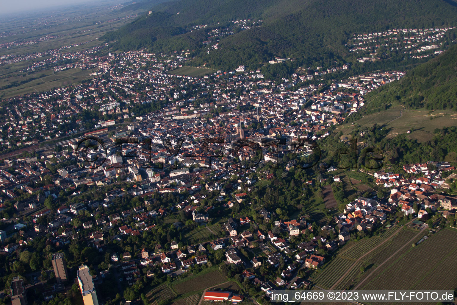 Neustadt an der Weinstraße in the state Rhineland-Palatinate, Germany from the drone perspective