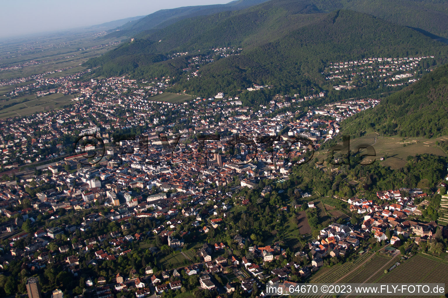 Neustadt an der Weinstraße in the state Rhineland-Palatinate, Germany from a drone