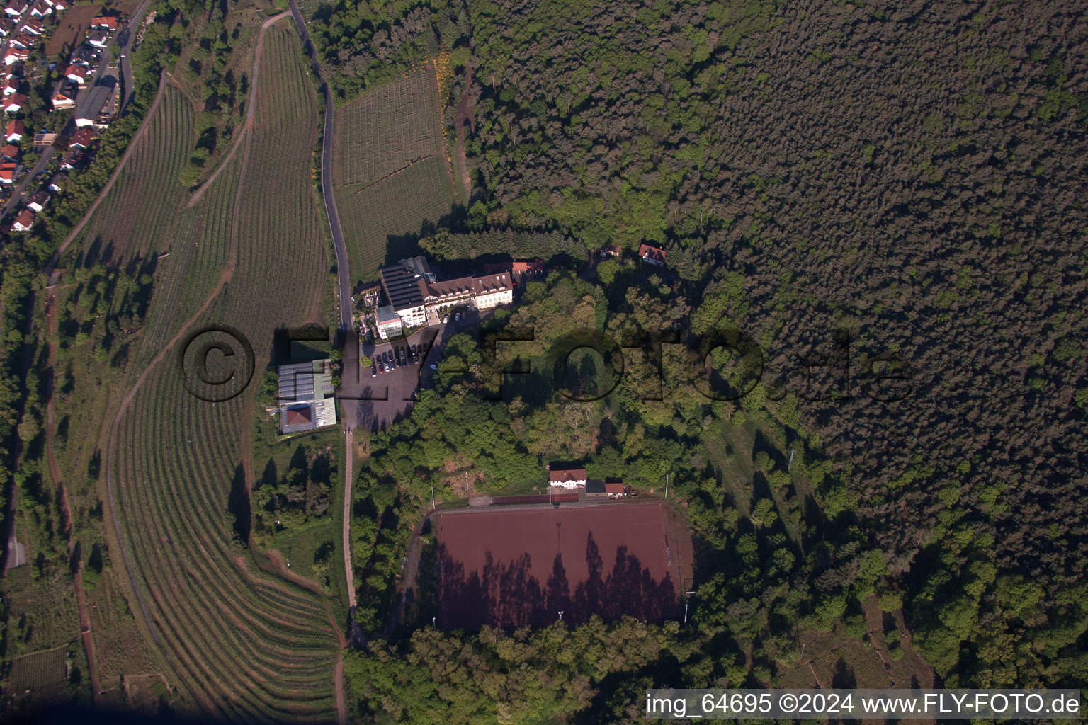 Sankt Martin in the state Rhineland-Palatinate, Germany seen from above