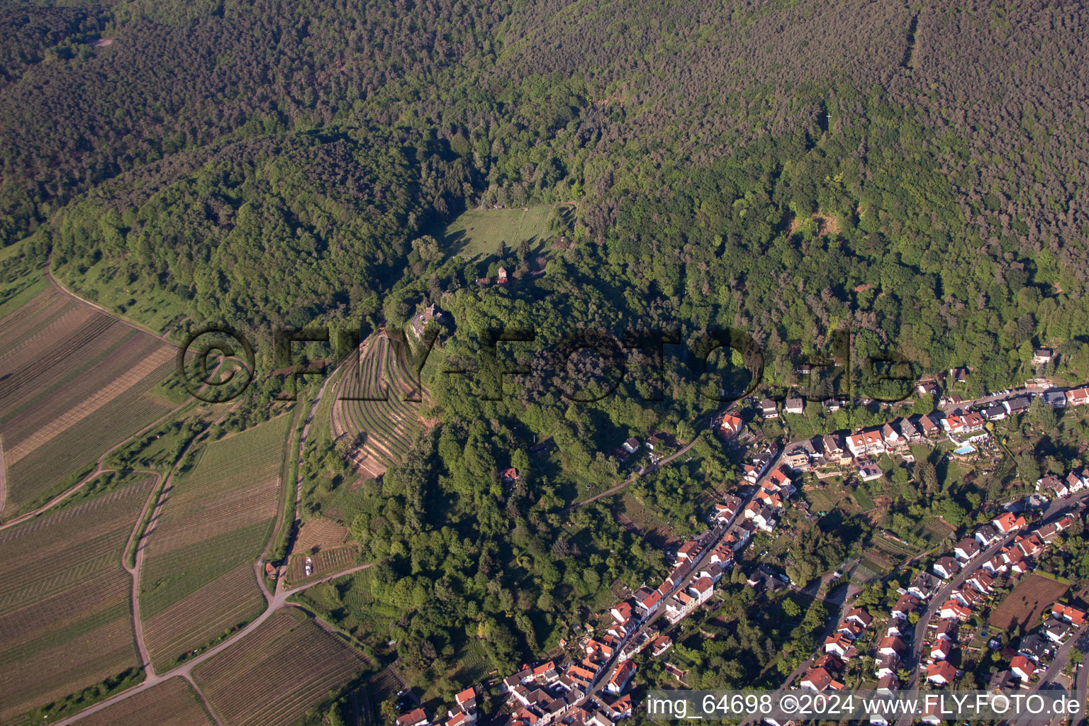 Sankt Martin in the state Rhineland-Palatinate, Germany from the drone perspective