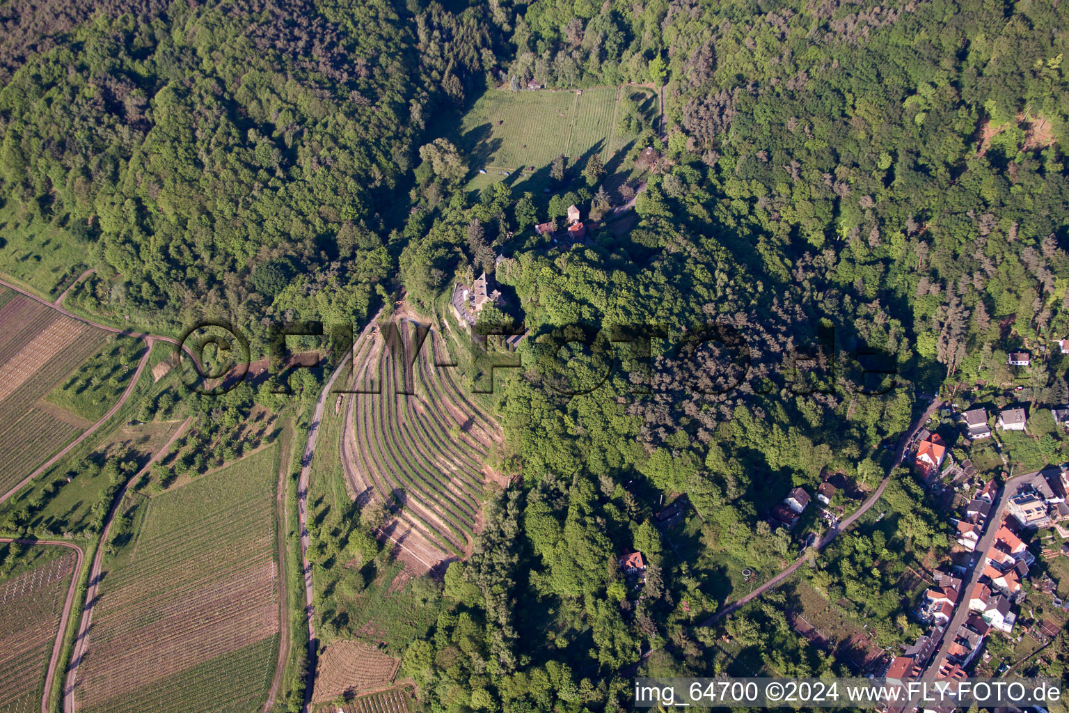 Sankt Martin in the state Rhineland-Palatinate, Germany viewn from the air