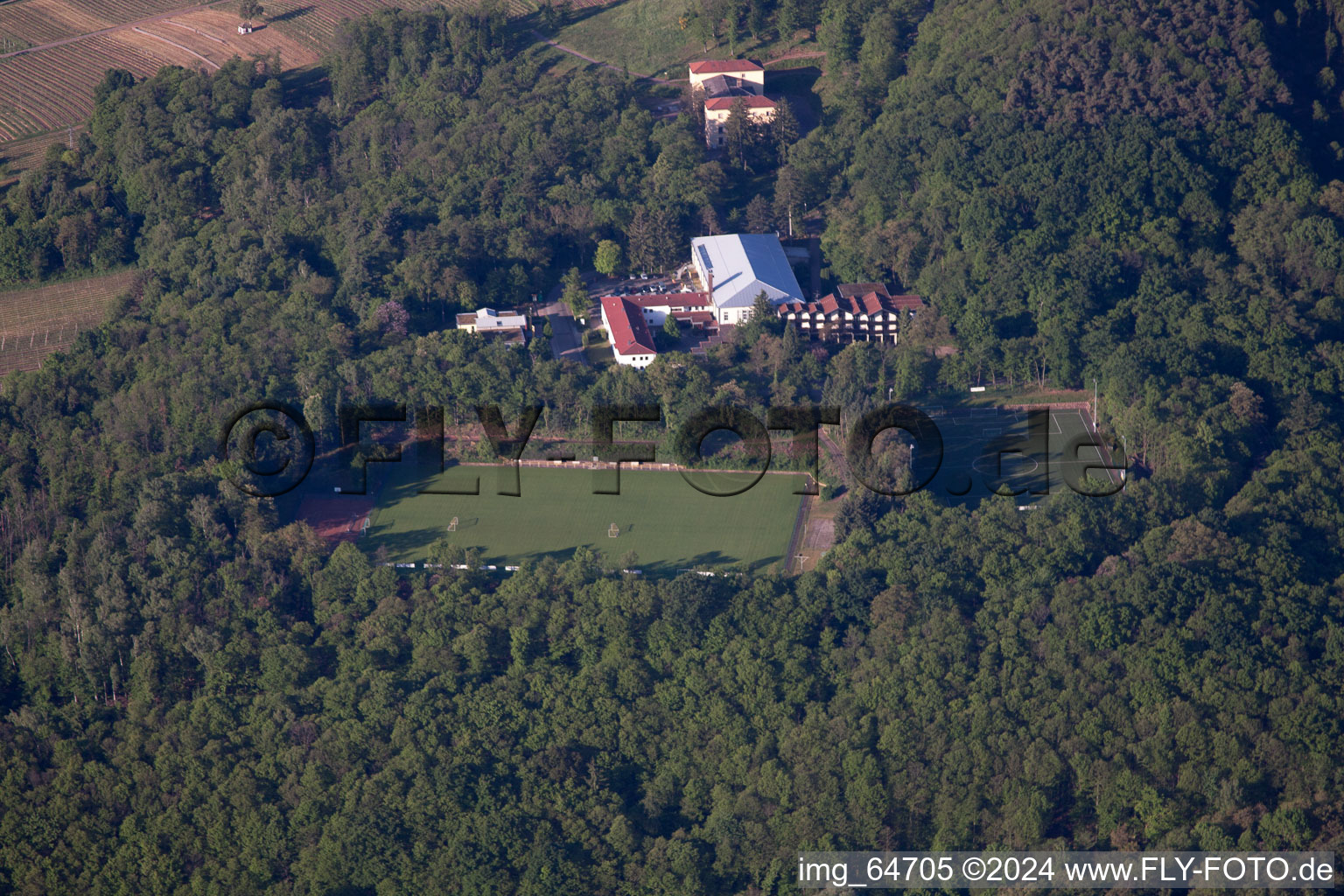 Sankt Martin in the state Rhineland-Palatinate, Germany from the drone perspective