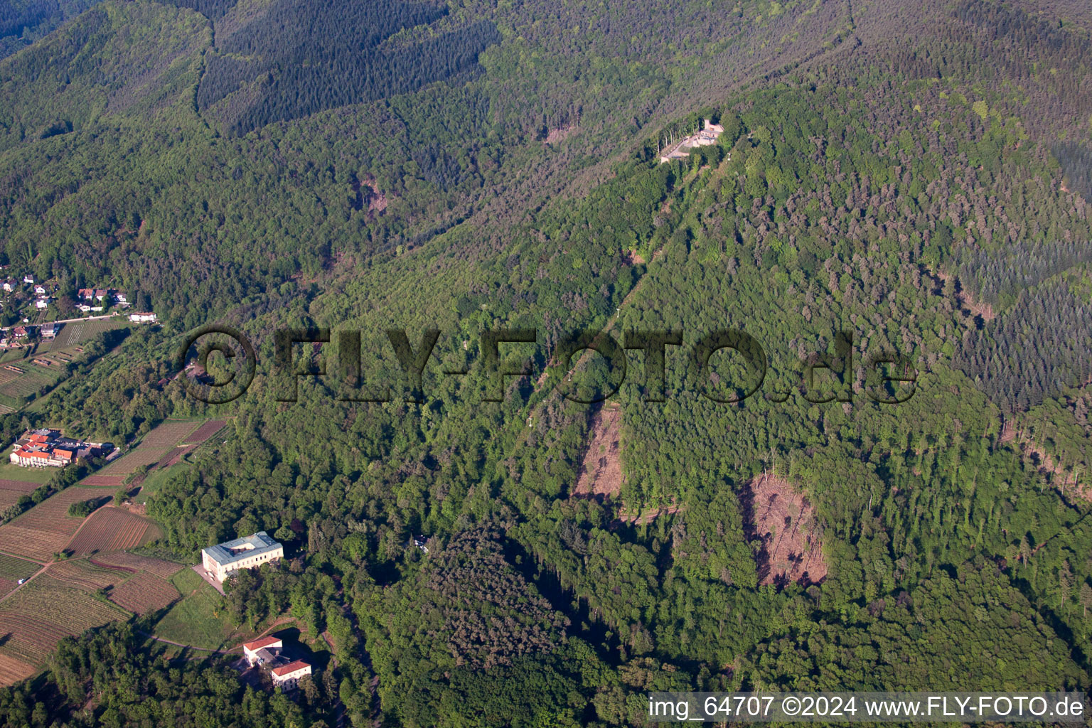 Rhodt unter Rietburg in the state Rhineland-Palatinate, Germany from the plane