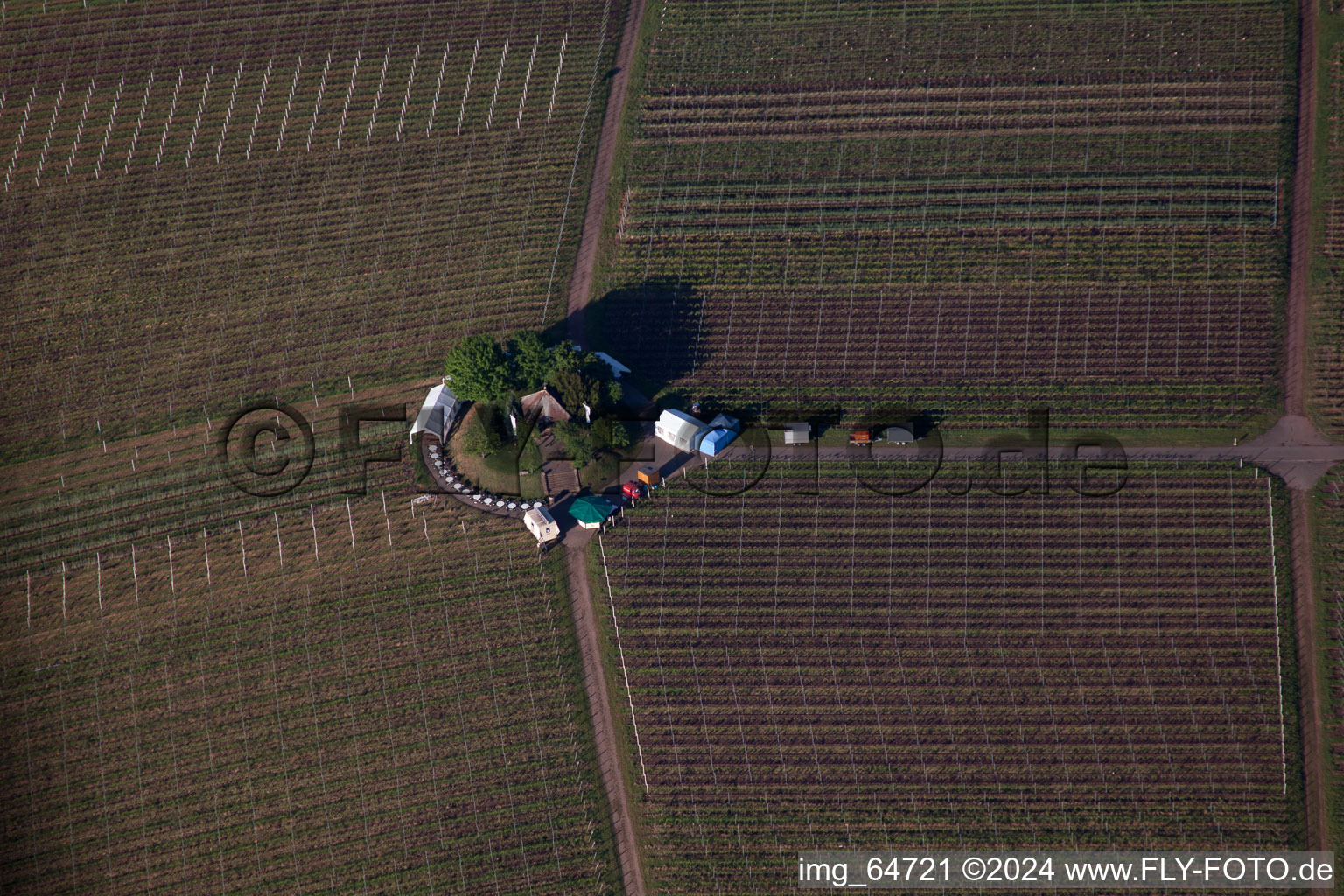 Weyher in der Pfalz in the state Rhineland-Palatinate, Germany out of the air