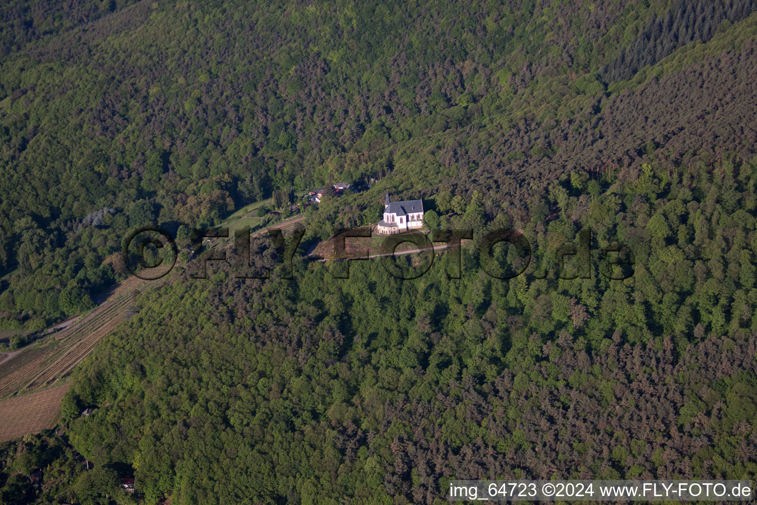 Oblique view of Burrweiler in the state Rhineland-Palatinate, Germany