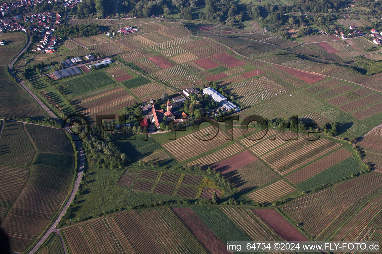 Aerial view of Vine Research Institute in Siebeldingen in the state Rhineland-Palatinate, Germany