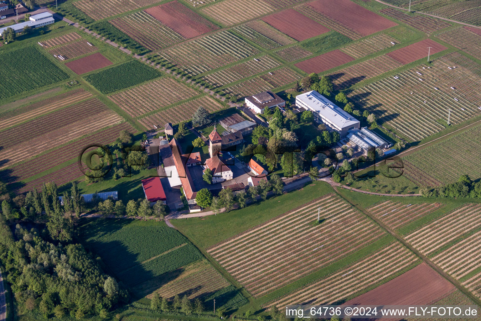 Oblique view of Building complex of the Institute Julius Kuehn Rebforschungsanstalt Geilweilerhof in Siebeldingen in the state Rhineland-Palatinate, Germany