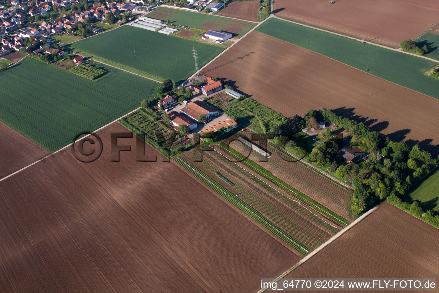 Aerial photograpy of Schosberghof in Minfeld in the state Rhineland-Palatinate, Germany