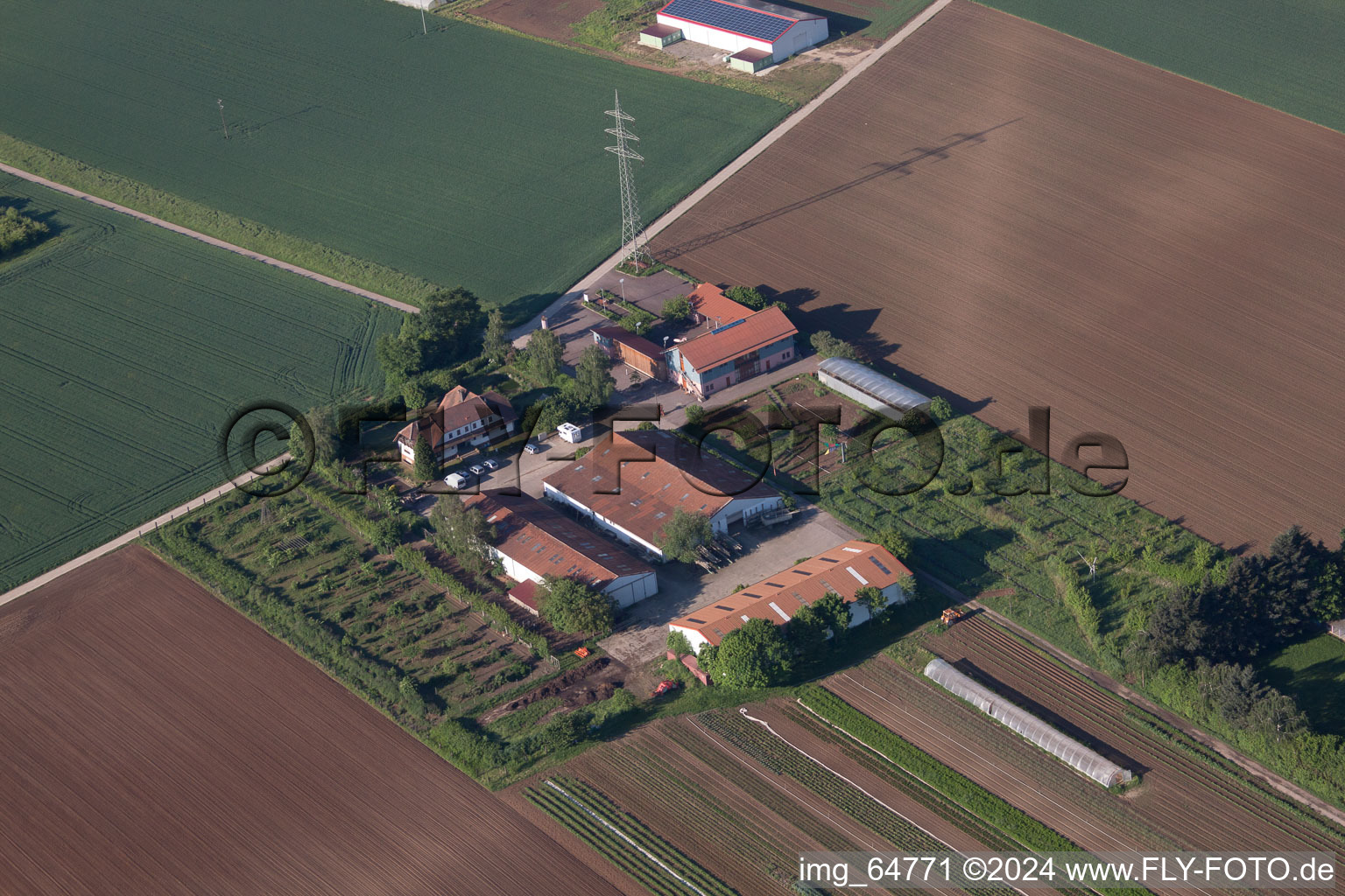 Oblique view of Schoßberghof in Minfeld in the state Rhineland-Palatinate, Germany