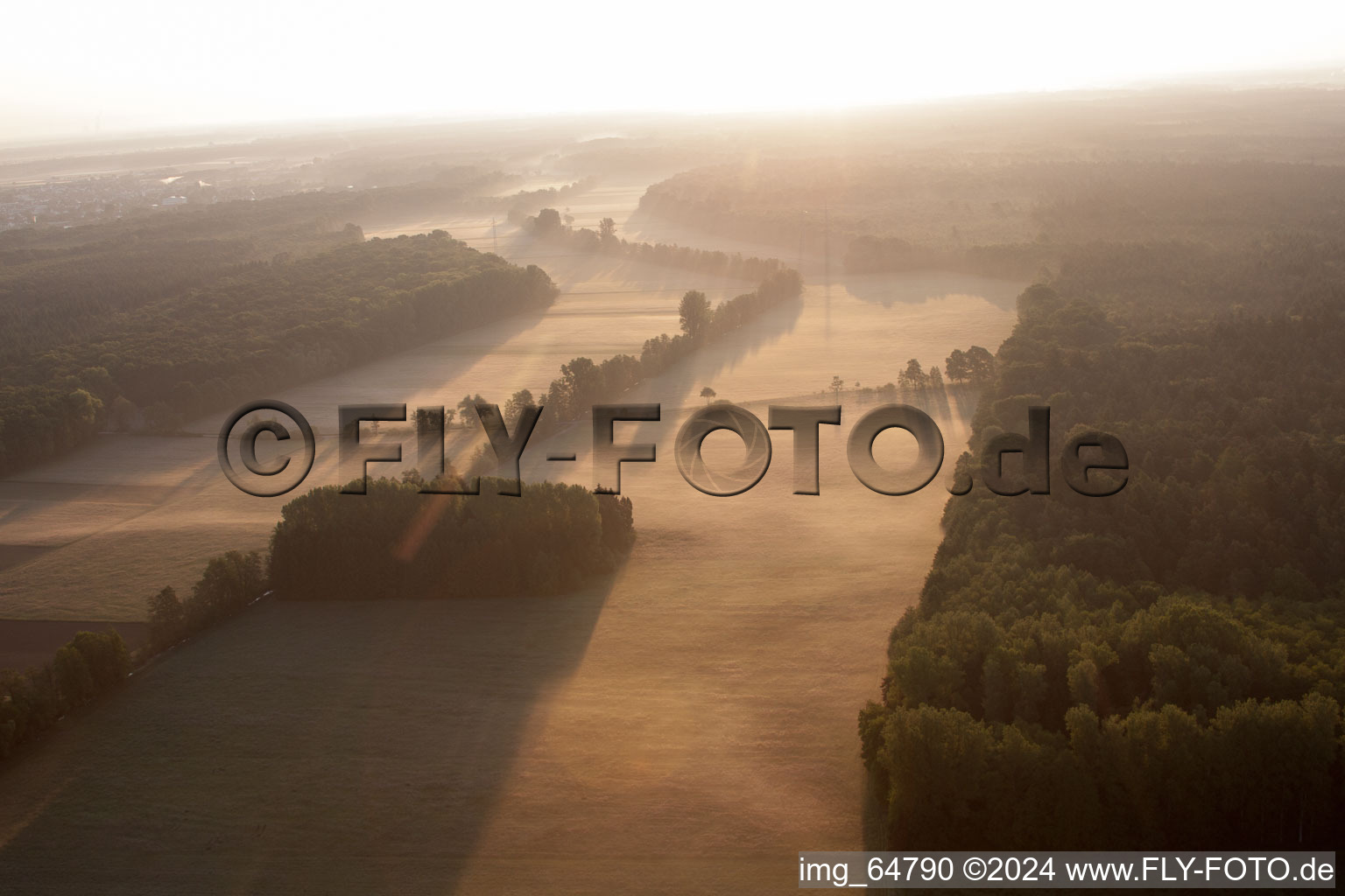 Otterbachtal in Minfeld in the state Rhineland-Palatinate, Germany from the plane