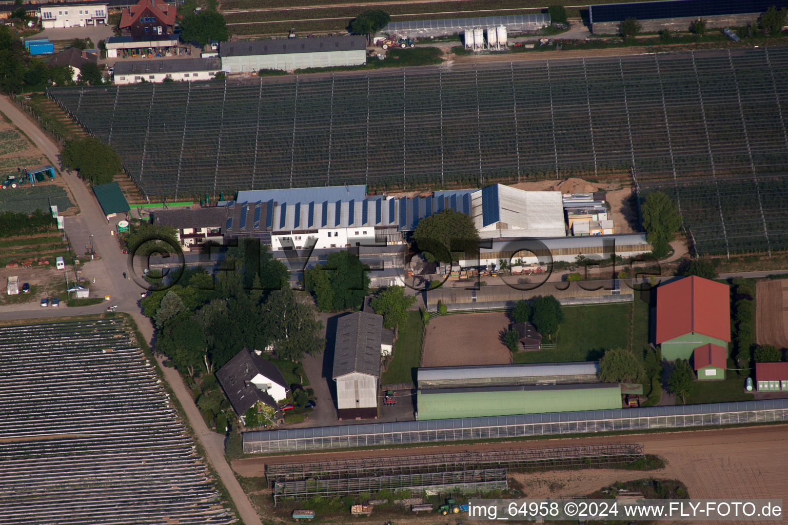 Fruit and asparagus farm, Hofcafé Zapf in Kandel in the state Rhineland-Palatinate, Germany