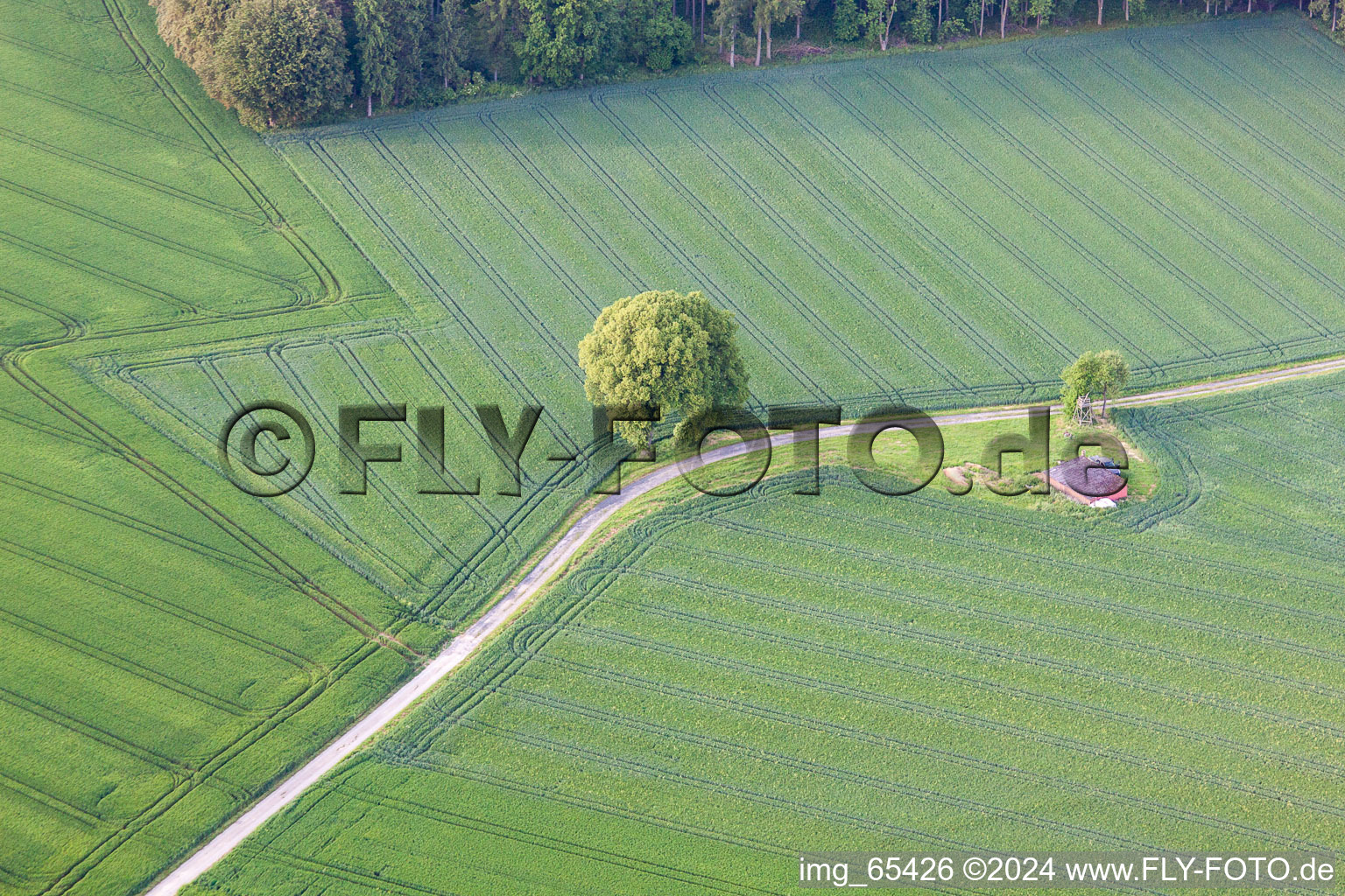 Aerial view of District Tietelsen in Beverungen in the state North Rhine-Westphalia, Germany