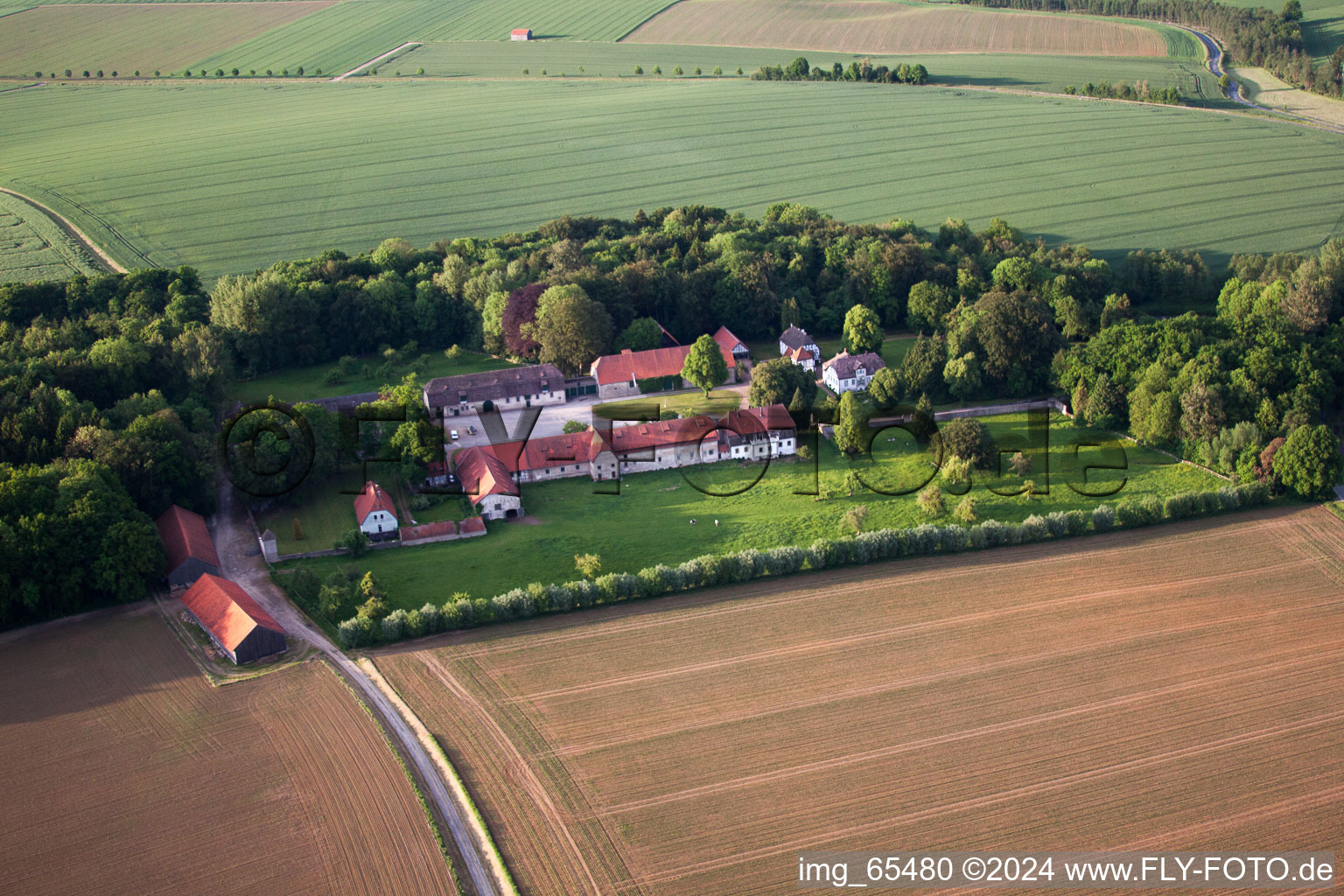 Farm on the edge of cultivated fields in the district Abbenburg in Brakel in the state North Rhine-Westphalia