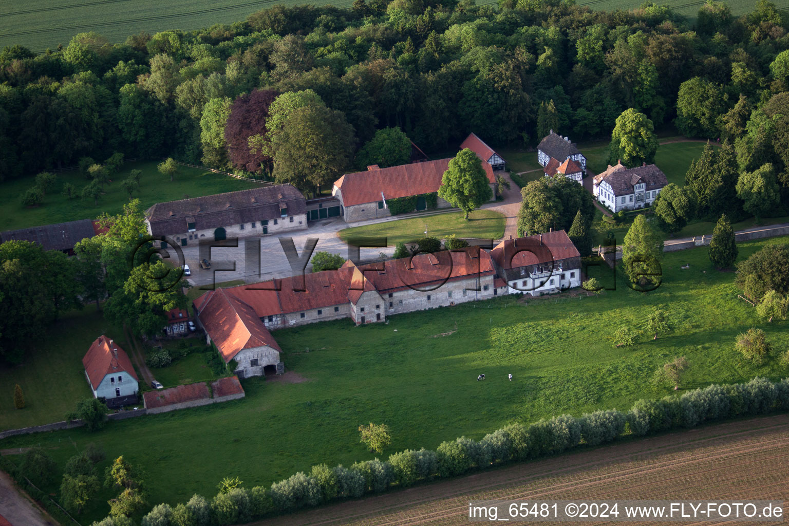 Aerial view of Farm on the edge of cultivated fields in the district Abbenburg in Brakel in the state North Rhine-Westphalia