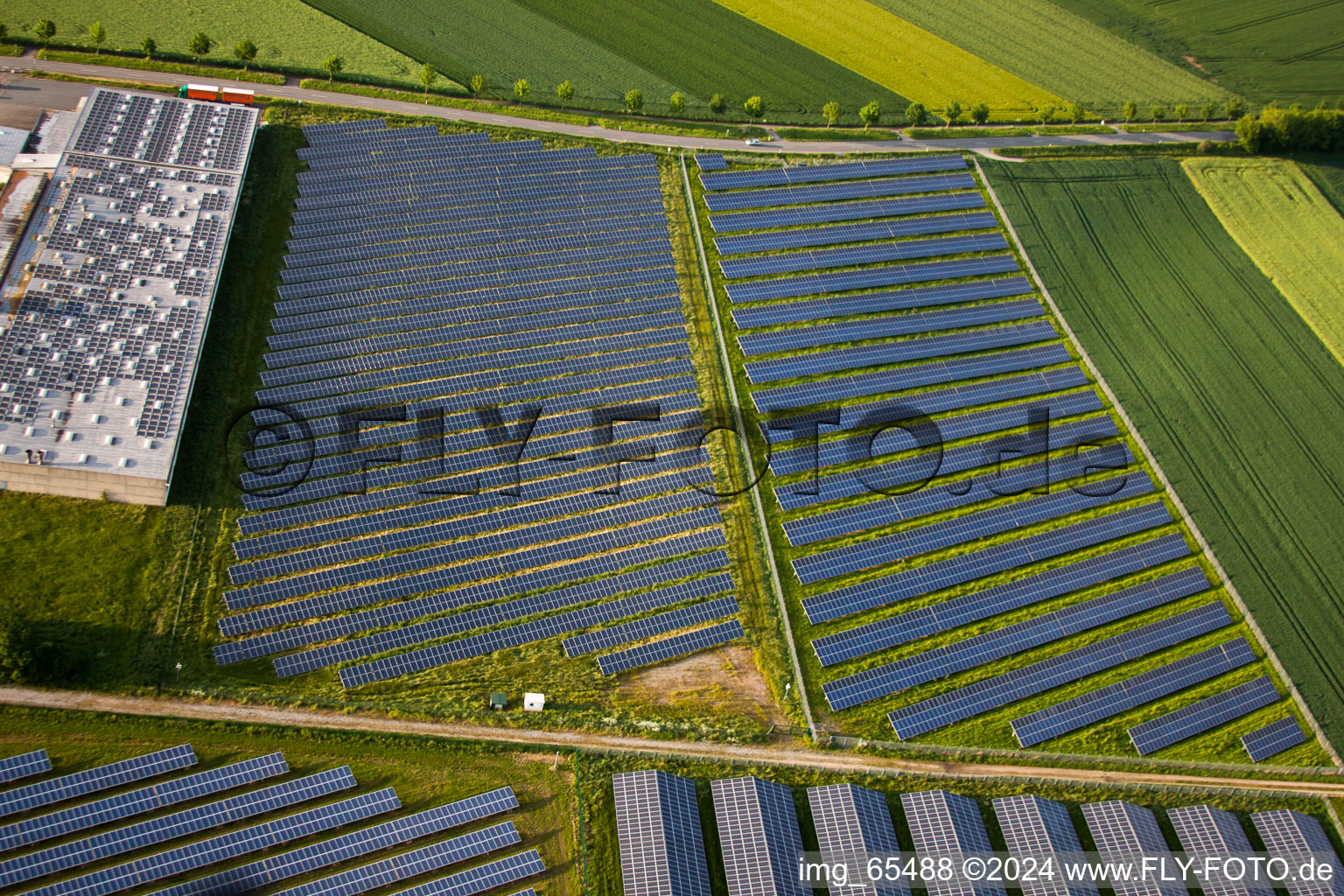 Panel rows of photovoltaic and solar farm or solar power plant in the district Bredenborn in Marienmuenster in the state North Rhine-Westphalia from above