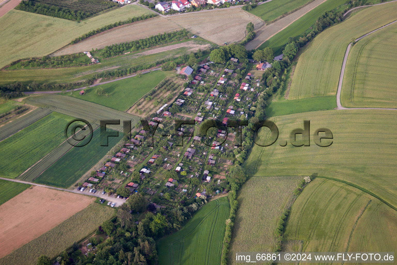 Allotment garden in Herrenberg in the state Baden-Wuerttemberg, Germany