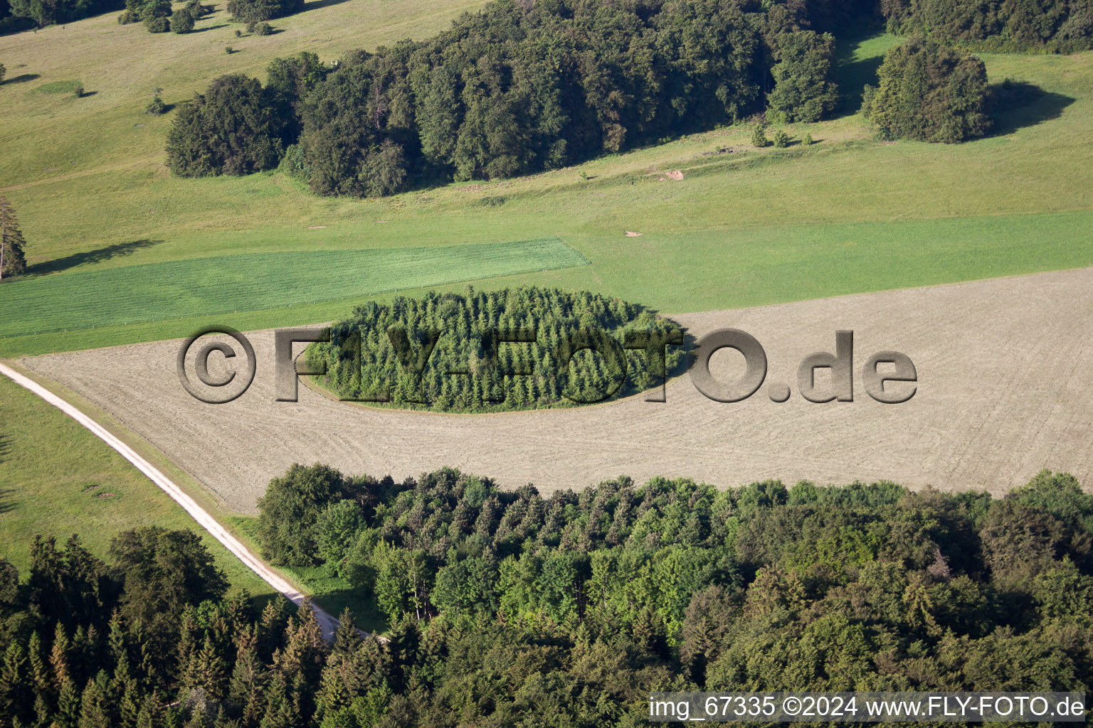 Circular protection on grain field in Gutsbezirk Münsingen in the state Baden-Wuerttemberg, Germany