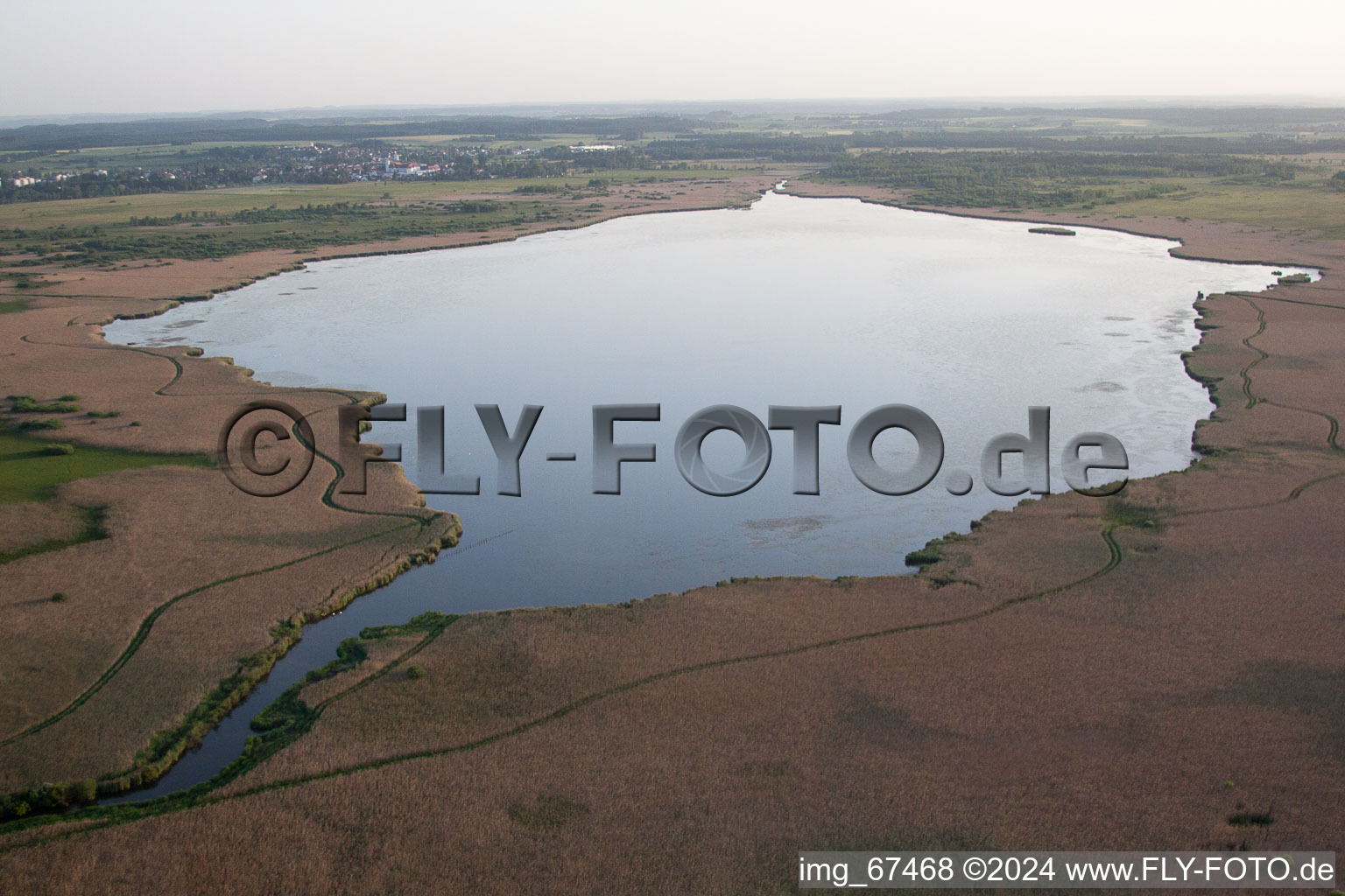 Riparian areas on the lake area of Federsee in the district Kappel in Oggelshausen in the state Baden-Wurttemberg