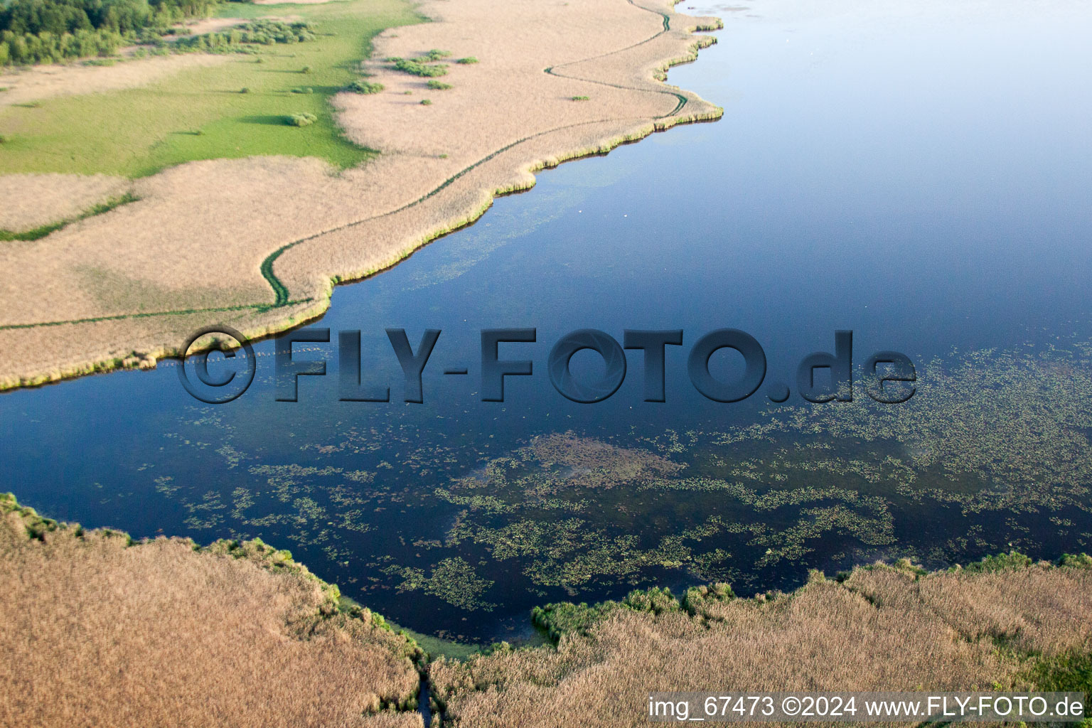 Lake Federsee in Seekirch in the state Baden-Wuerttemberg, Germany