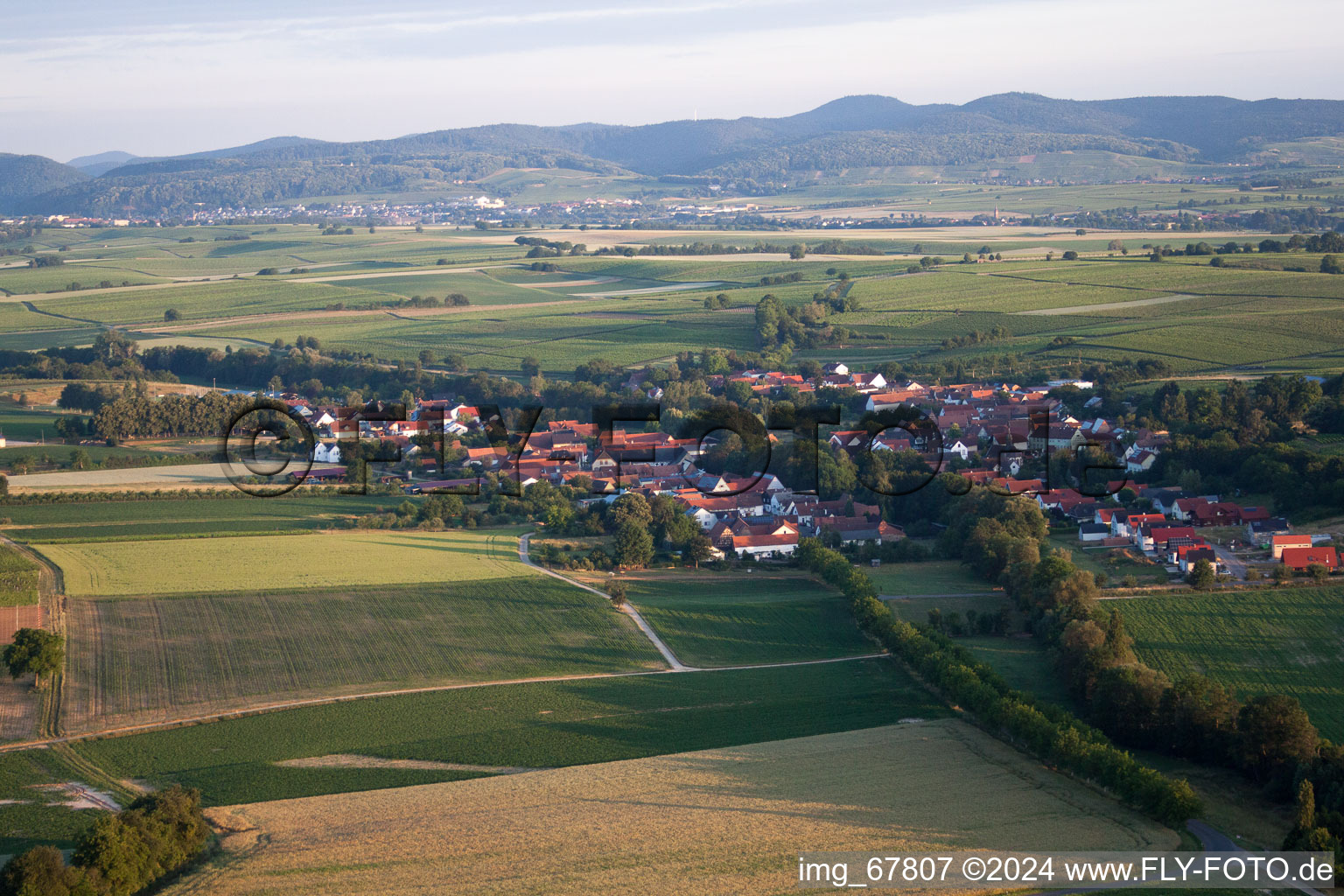 Dierbach in the state Rhineland-Palatinate, Germany from the drone perspective