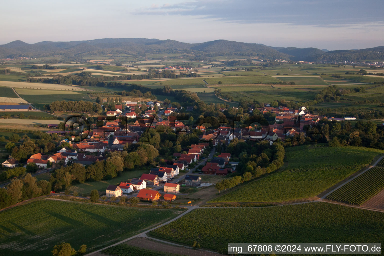 Dierbach in the state Rhineland-Palatinate, Germany from a drone