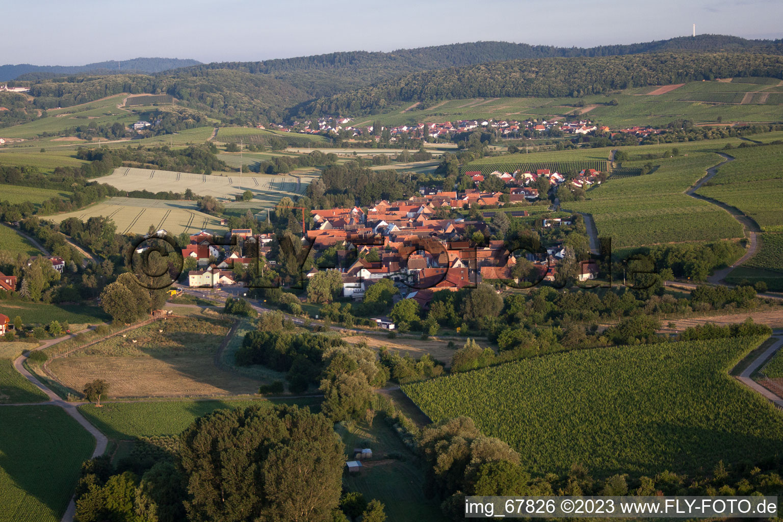 Drone recording of Niederhorbach in the state Rhineland-Palatinate, Germany