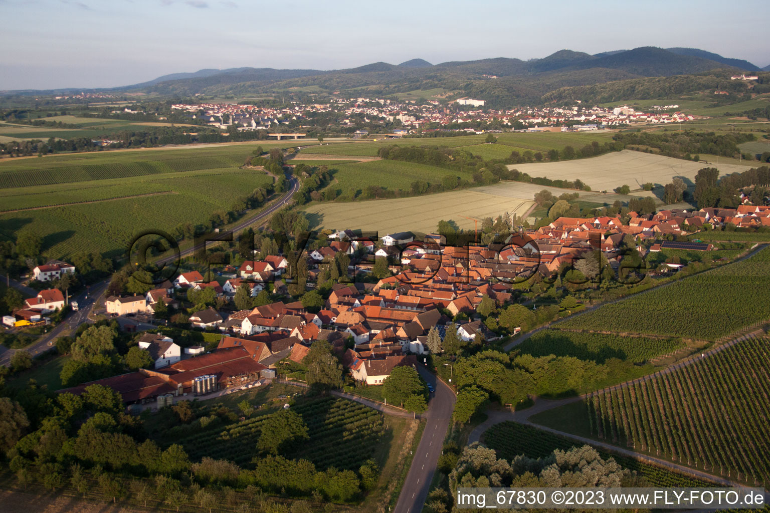 Niederhorbach in the state Rhineland-Palatinate, Germany from the drone perspective