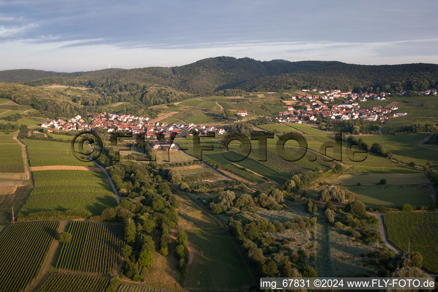 Local area and surroundings on the Haardtrand in the district Gleishorbach in Gleiszellen-Gleishorbach in the state Rhineland-Palatinate, Germany