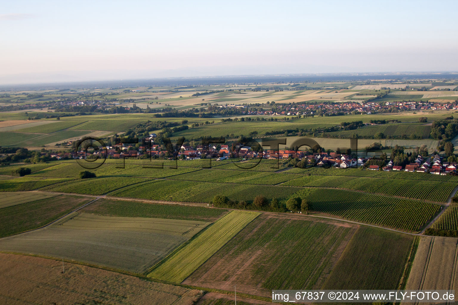 Niederhorbach in the state Rhineland-Palatinate, Germany from a drone