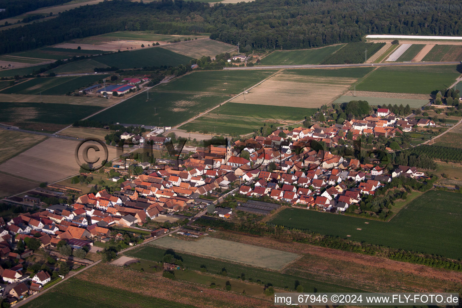 Bird's eye view of Erlenbach bei Kandel in the state Rhineland-Palatinate, Germany