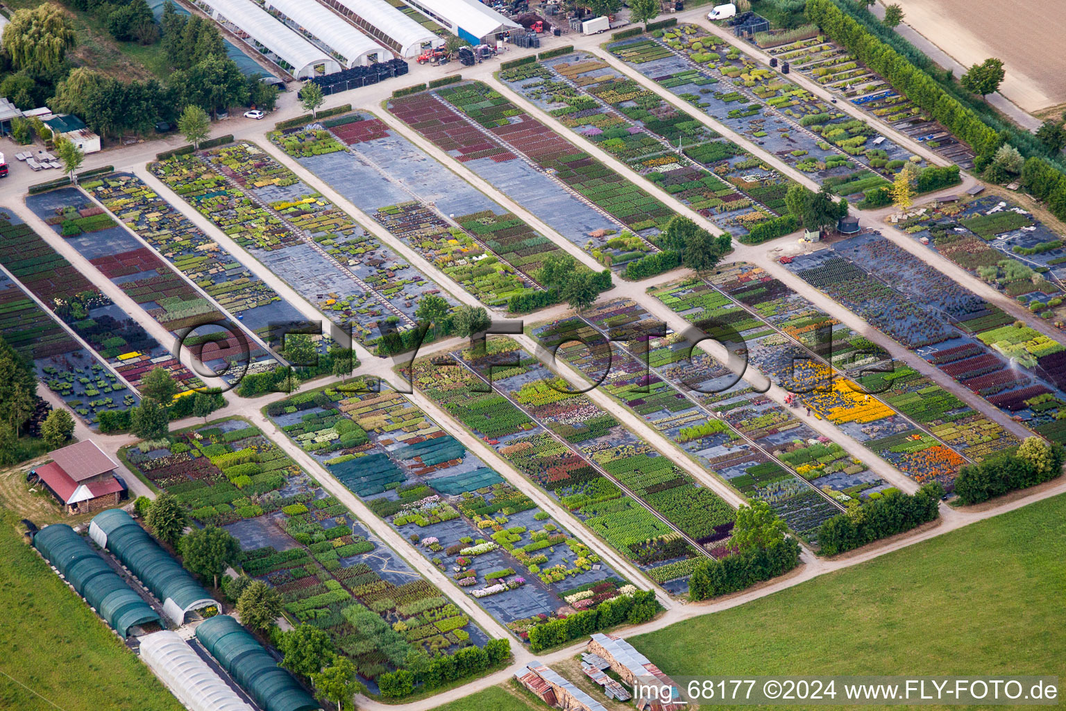 Garden center Kaiserstuehler Staudenhof Menton-Enderlin in Eichstetten on Kaiserstuhl in the state Baden-Wurttemberg