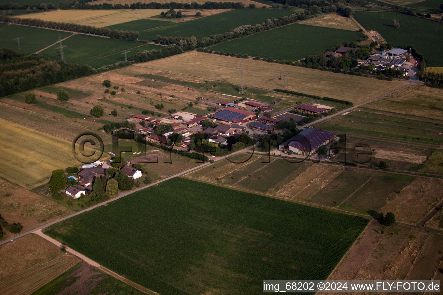 Oblique view of Gottenheim in the state Baden-Wuerttemberg, Germany