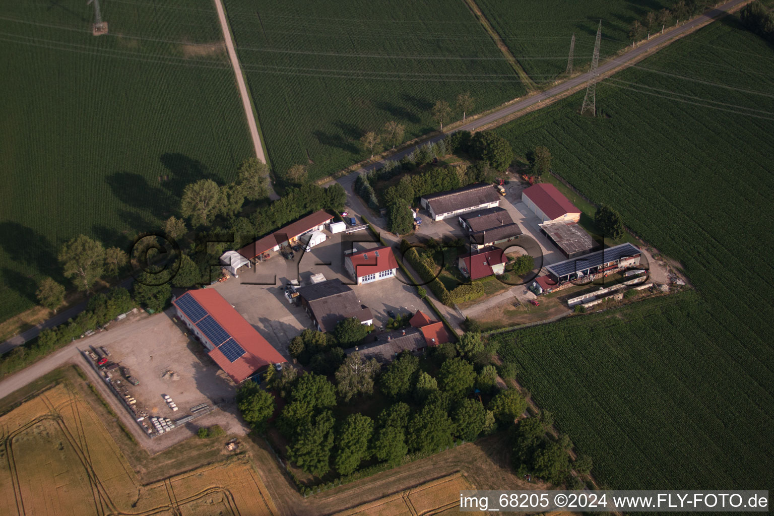 Strawberry picking in Merdingen in the state Baden-Wuerttemberg, Germany