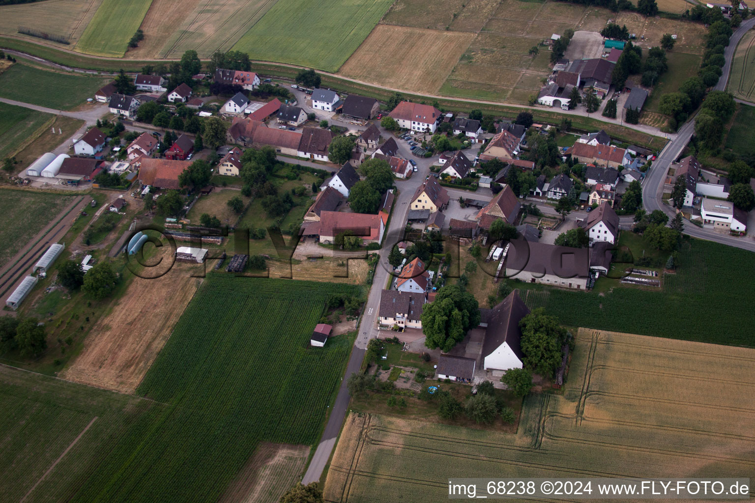 Aerial view of District Oberrimsingen in Breisach am Rhein in the state Baden-Wuerttemberg, Germany