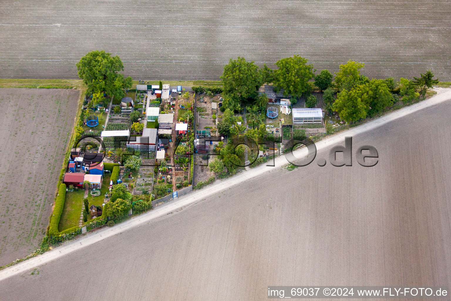 Parcel of a small garden Eppstein in Frankenthal (Pfalz) in the state Rhineland-Palatinate