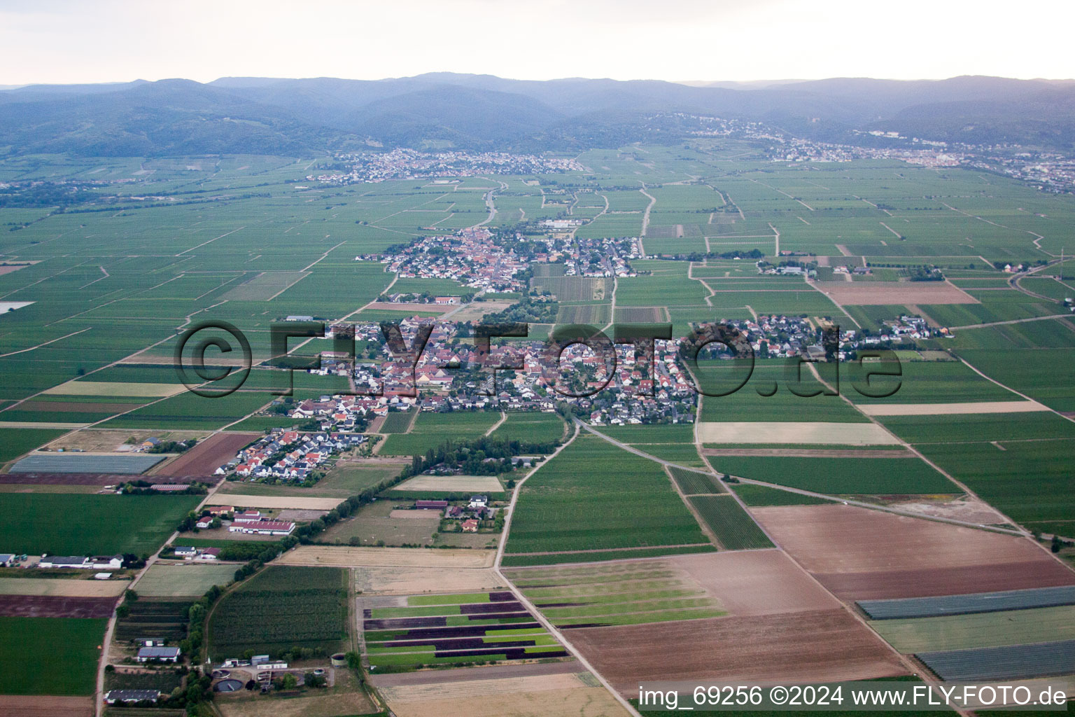 Ellerstadt in the state Rhineland-Palatinate, Germany from the drone perspective