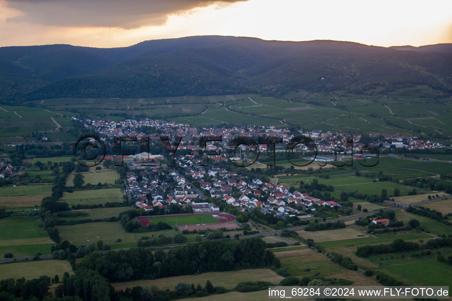 Deidesheim in the state Rhineland-Palatinate, Germany from above