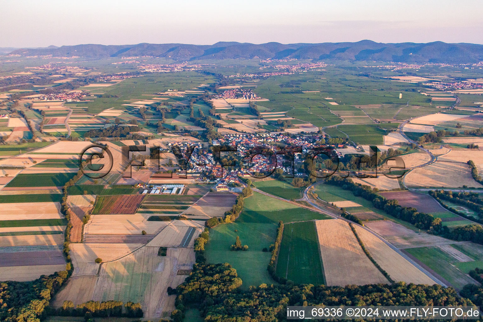 Aerial photograpy of From the east in the district Geinsheim in Neustadt an der Weinstraße in the state Rhineland-Palatinate, Germany