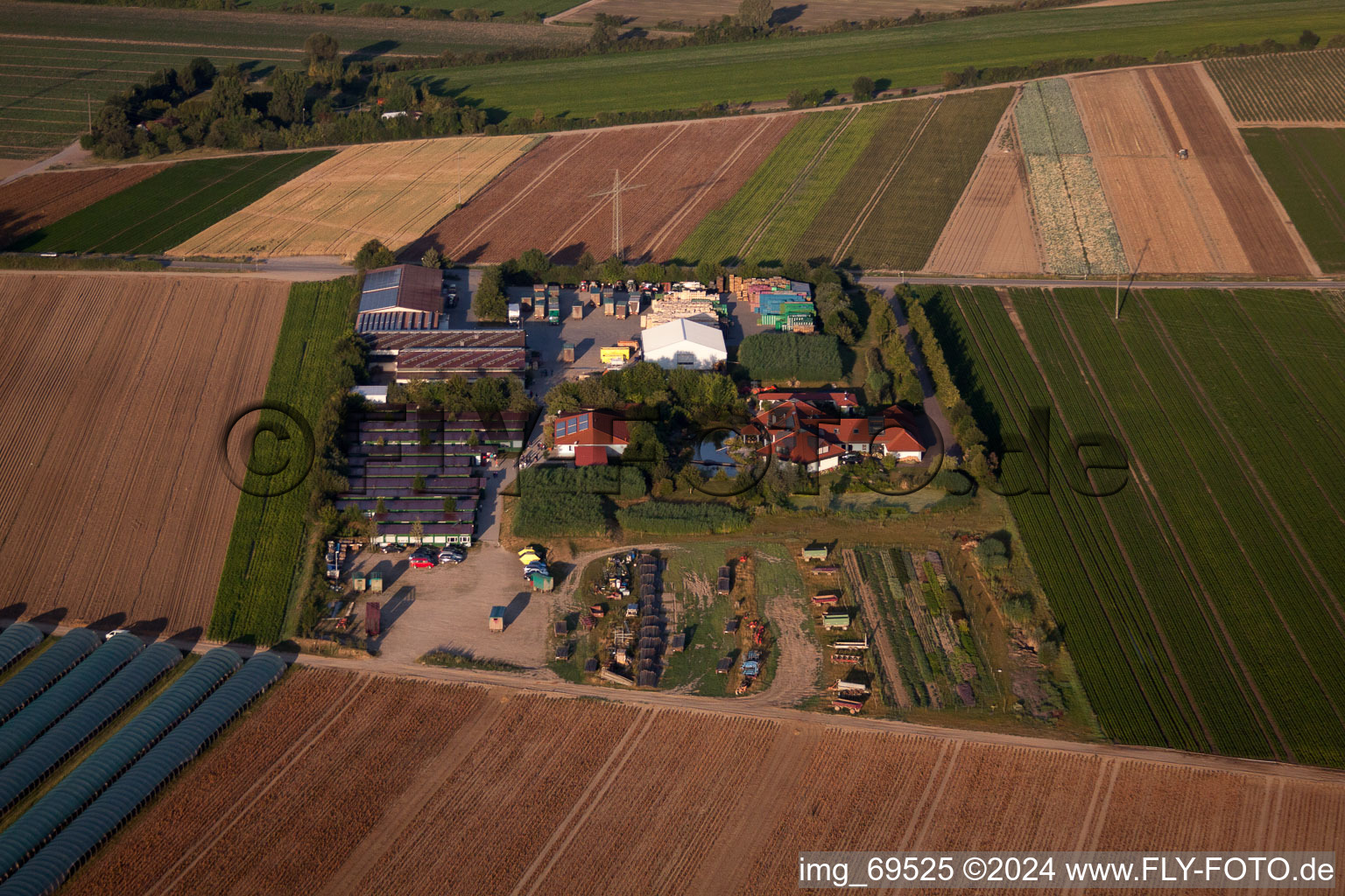 P.+H. Fehmel Gemuesebau for vegetable growing ranks in Mutterstadt in the state Rhineland-Palatinate