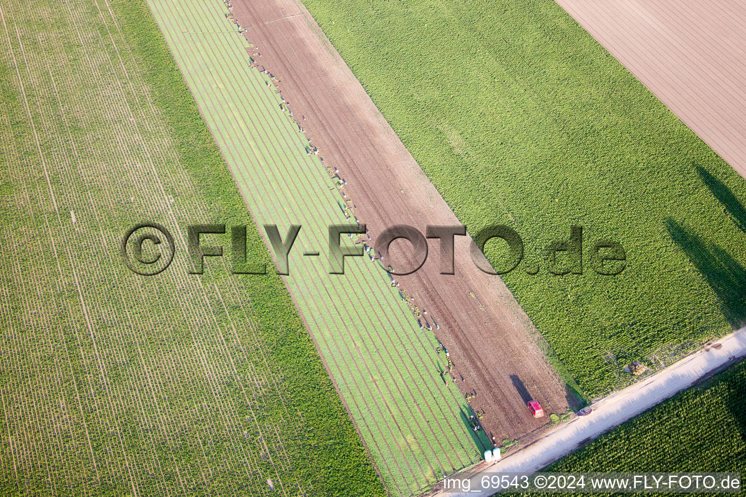 Aerial view of Mutterstadt in the state Rhineland-Palatinate, Germany