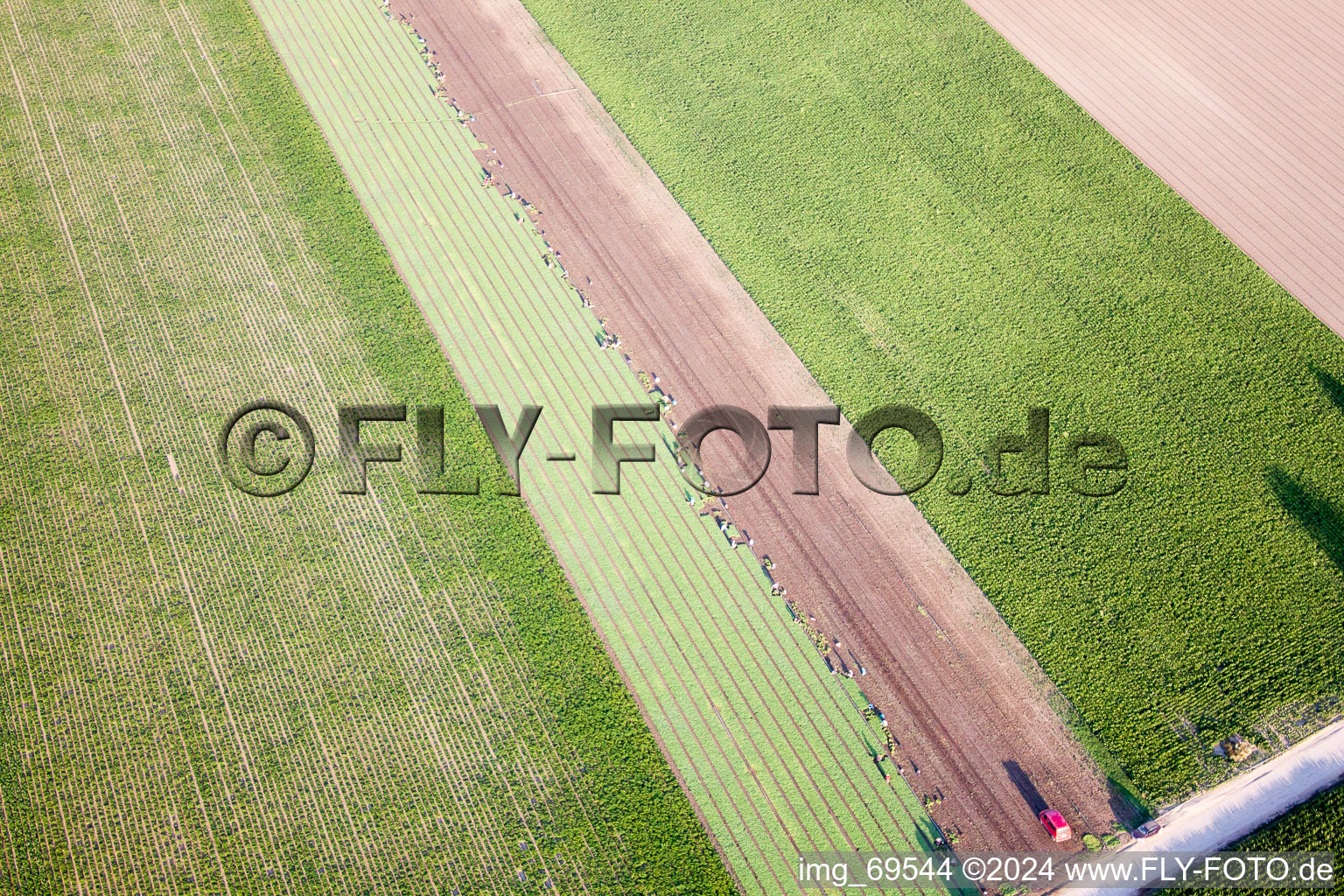 Aerial photograpy of Mutterstadt in the state Rhineland-Palatinate, Germany