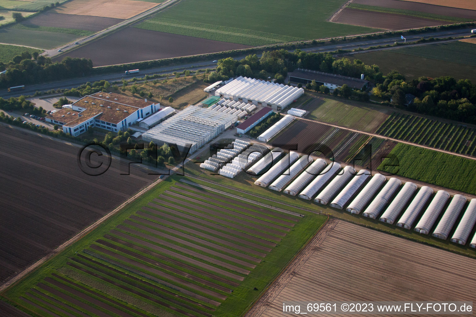 Aerial photograpy of Enza Zaden Germany GmbH in the district Dannstadt in Dannstadt-Schauernheim in the state Rhineland-Palatinate, Germany